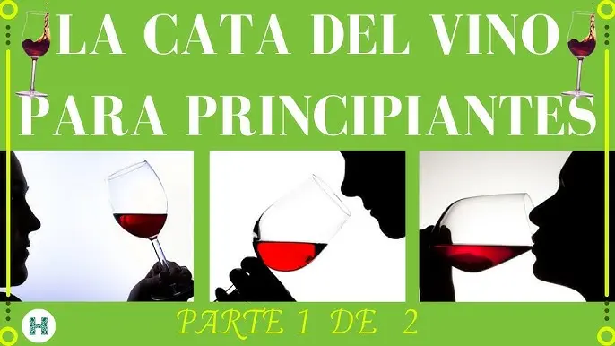 Curso de vinos para principiantes: Guía completa para disfrutar del mundo del vino - Cómo aprender a conocer los vinos curso de vinos para principiantes - Cómo aprender a conocer los vinos