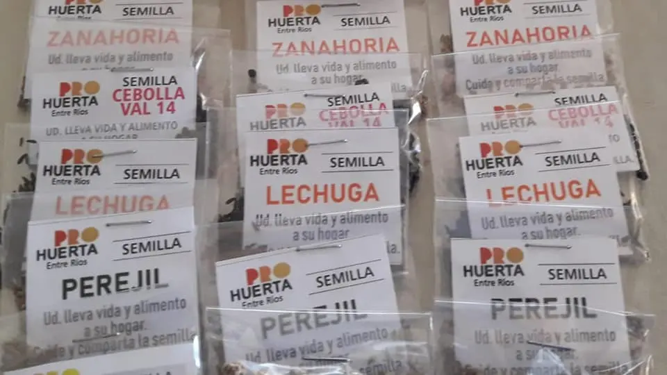 curso de huerta inta - Cómo conseguir semillas INTA