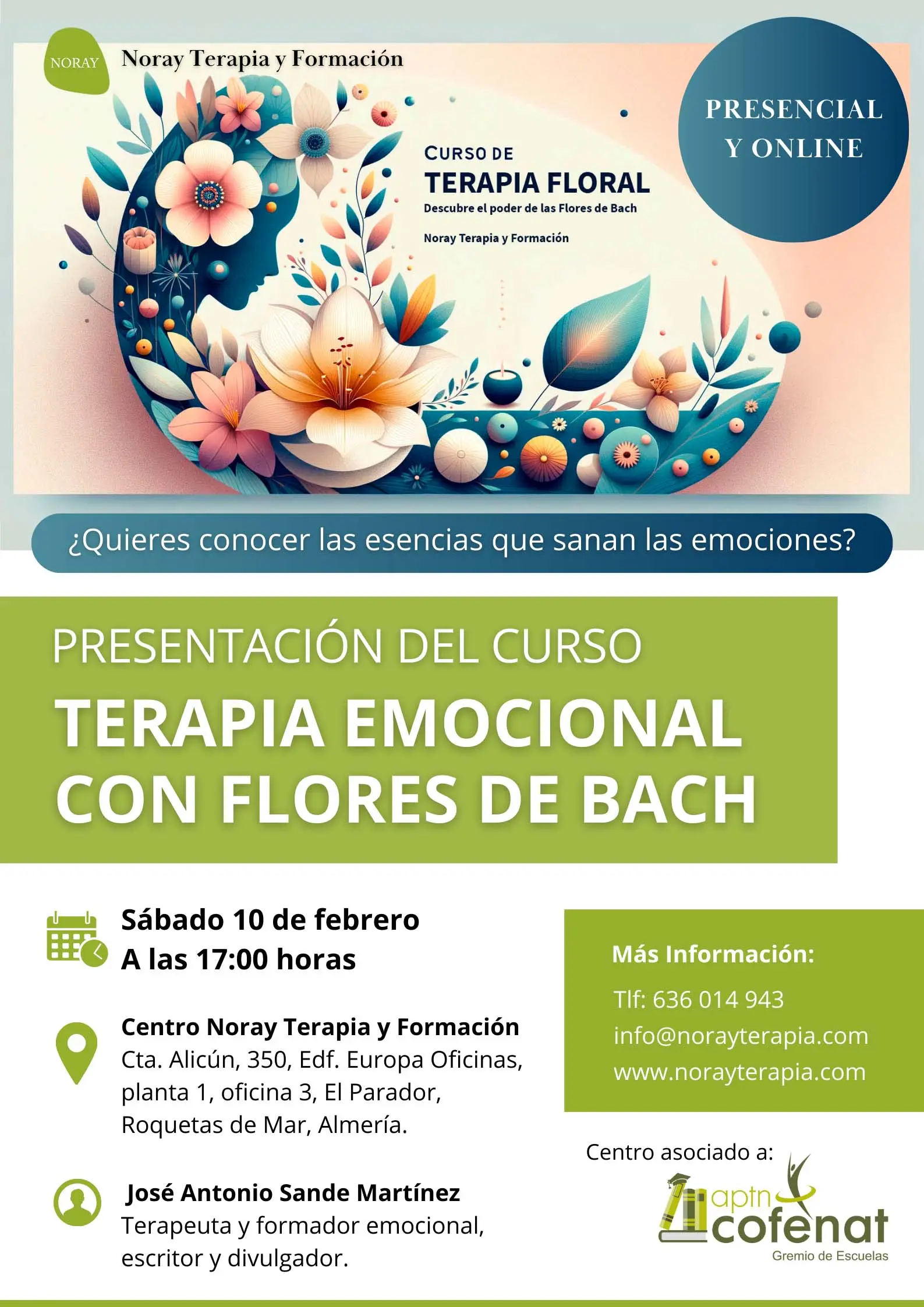 curso de terapeuta emocional - Cómo convertirse en terapeuta