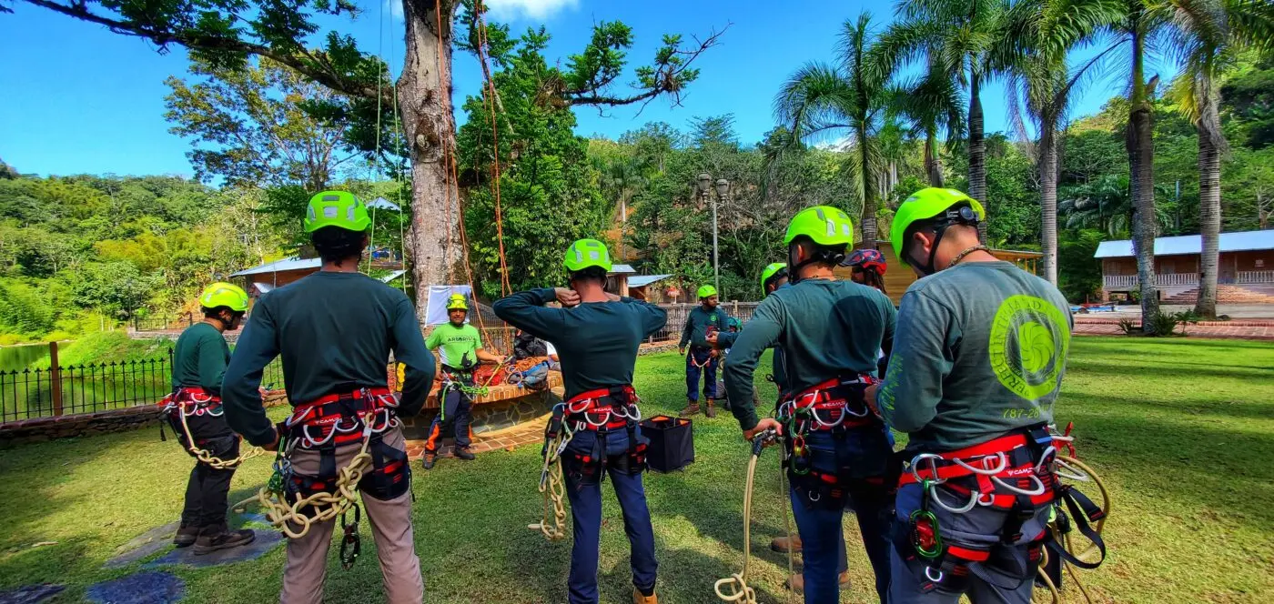 Curso Arborista: La Guía Definitiva para Convertirte en un Profesional - Cómo convertirse en un arborista certificado en Florida curso arborista - Cómo convertirse en un arborista certificado en Florida