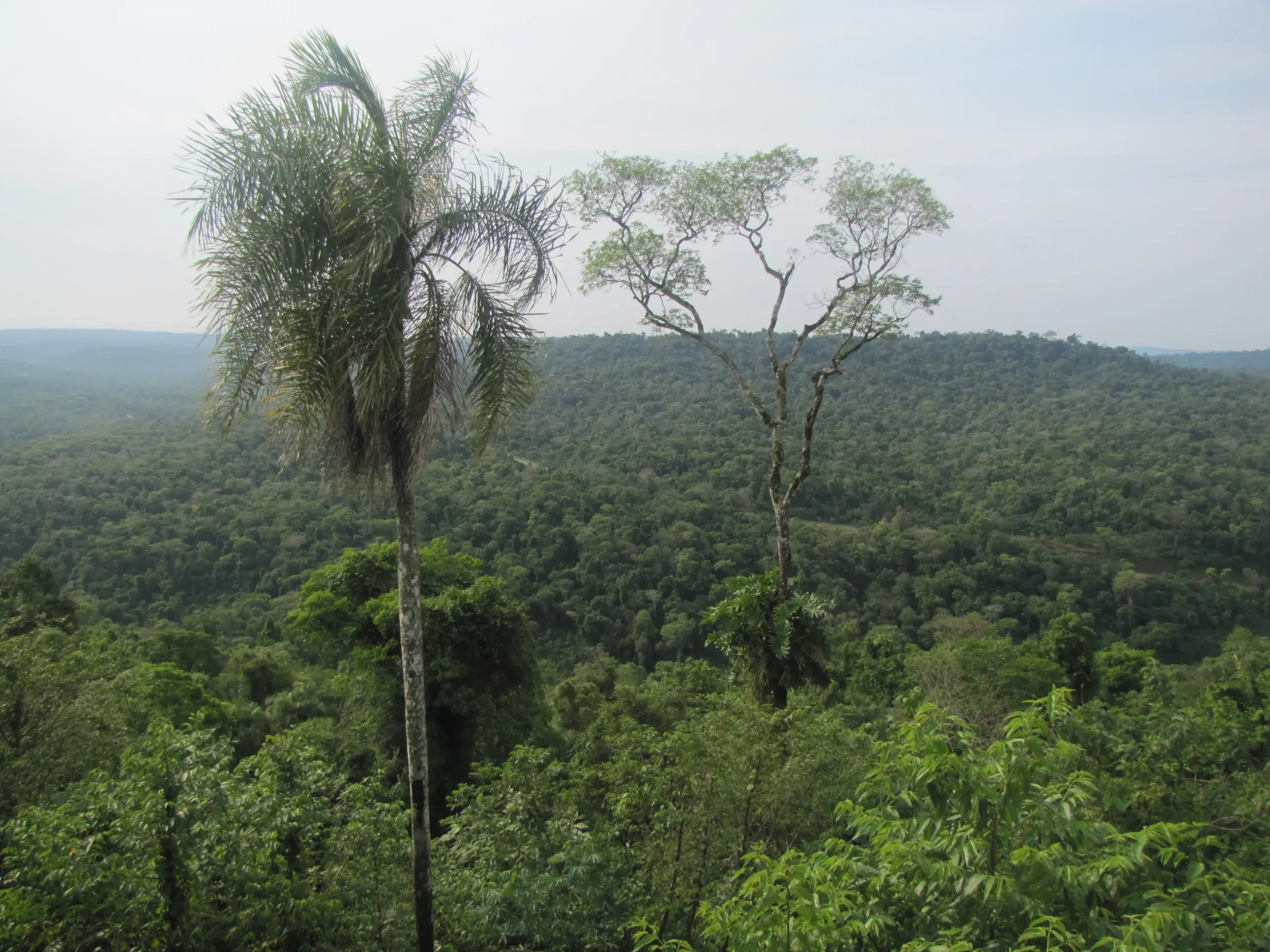 Curso Medio del Río Paraná: Un Análisis Completo - Cómo es la pendiente y el curso del río Paraná curso medio del rio parana - Cómo es la pendiente y el curso del río Paraná