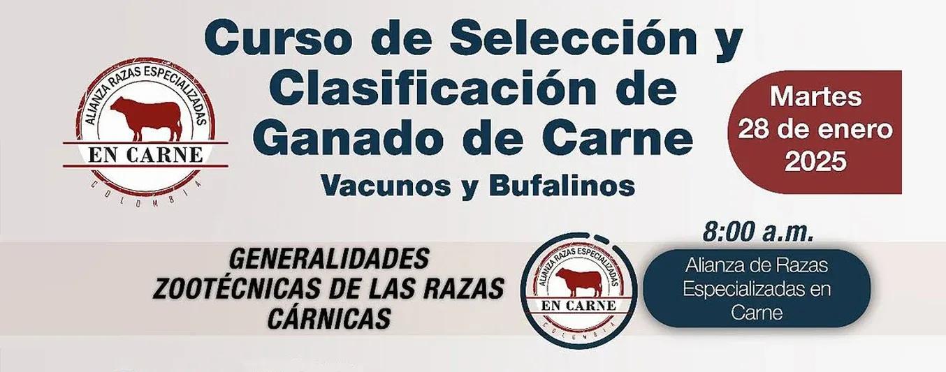 curso de tipificacion de carnes - Cómo es la producción de carne bovina en Argentina