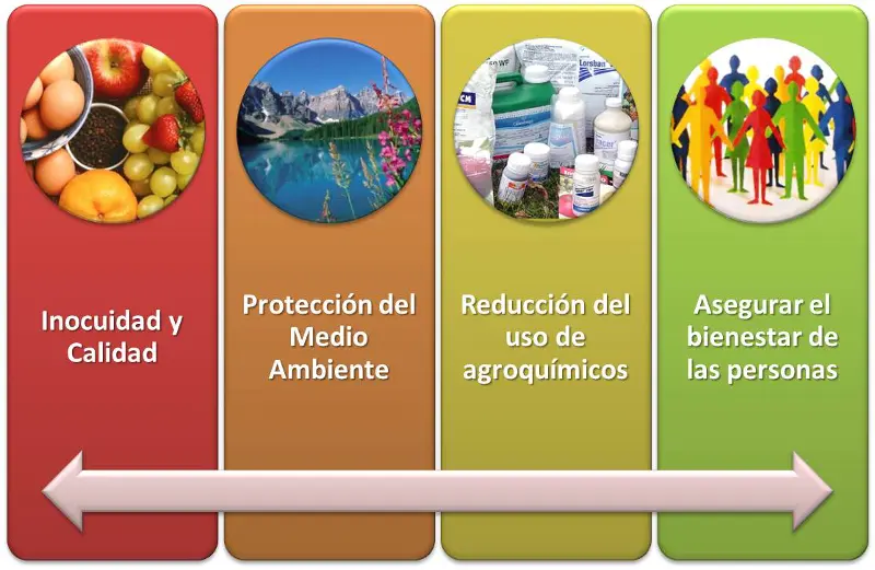 curso buenas practicas agricolas - Cómo hacer una buena práctica agrícola