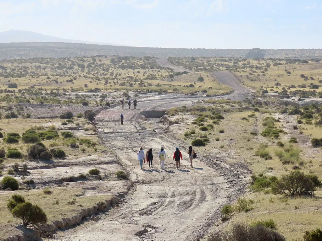 curso de ornitología - Cómo ingresar a la ornitología de Cornell