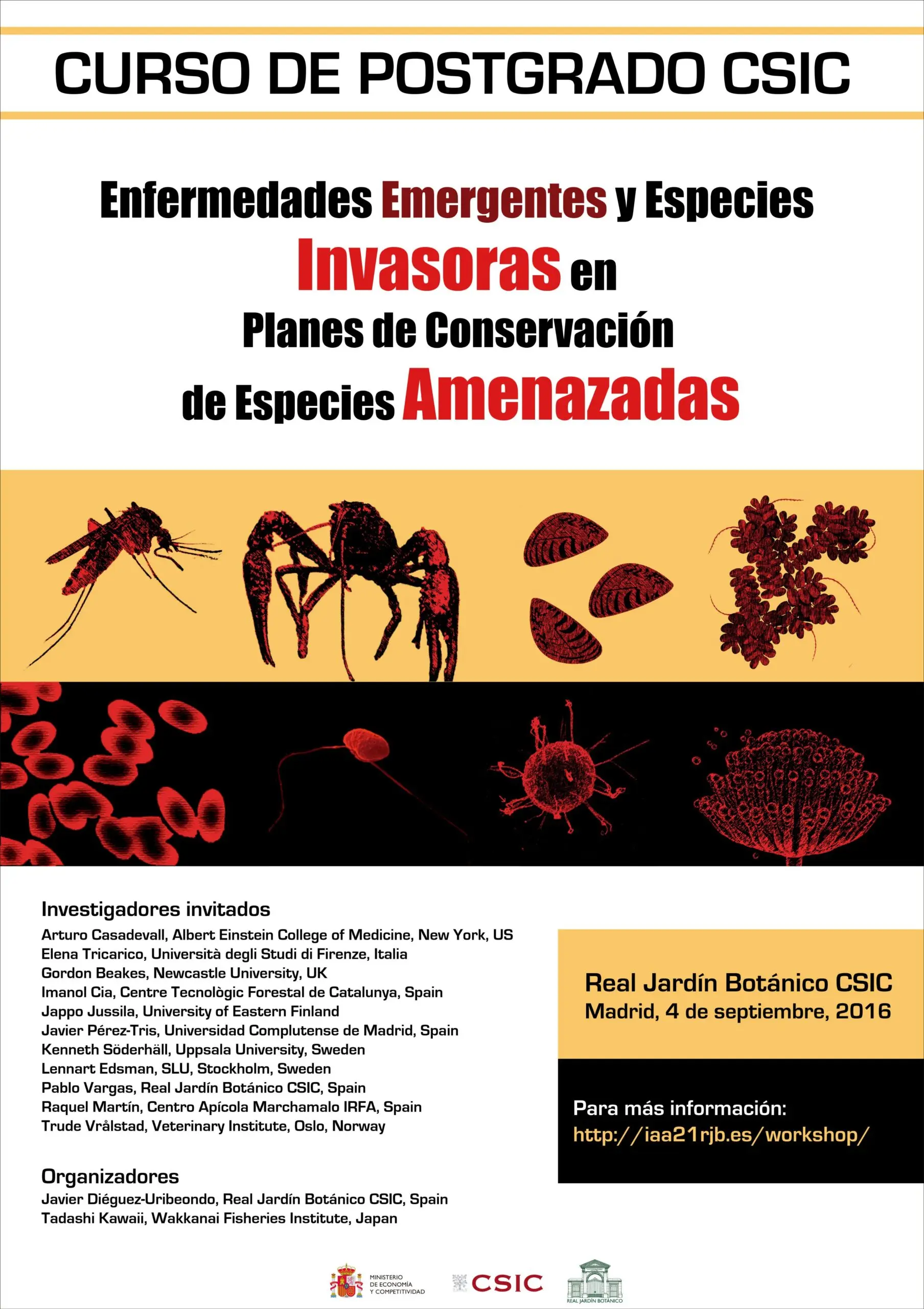 curso enfermedades emergentes - Cómo prevenir las enfermedades emergentes