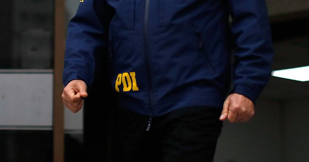 curso pdi - Cómo puedo trabajar en PDI