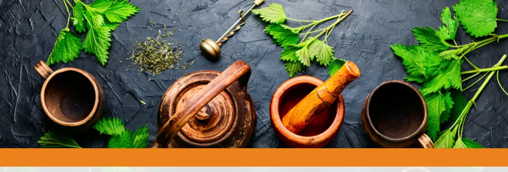 curso sobre plantas medicinais - Como se chama a pessoa que estuda as plantas medicinais