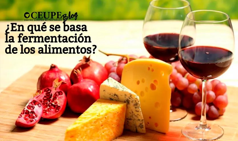 Curso de Alimentos Fermentados: Una Guía Completa - Cómo se hace la fermentación de alimentos curso de alimentos fermentados - Cómo se hace la fermentación de alimentos