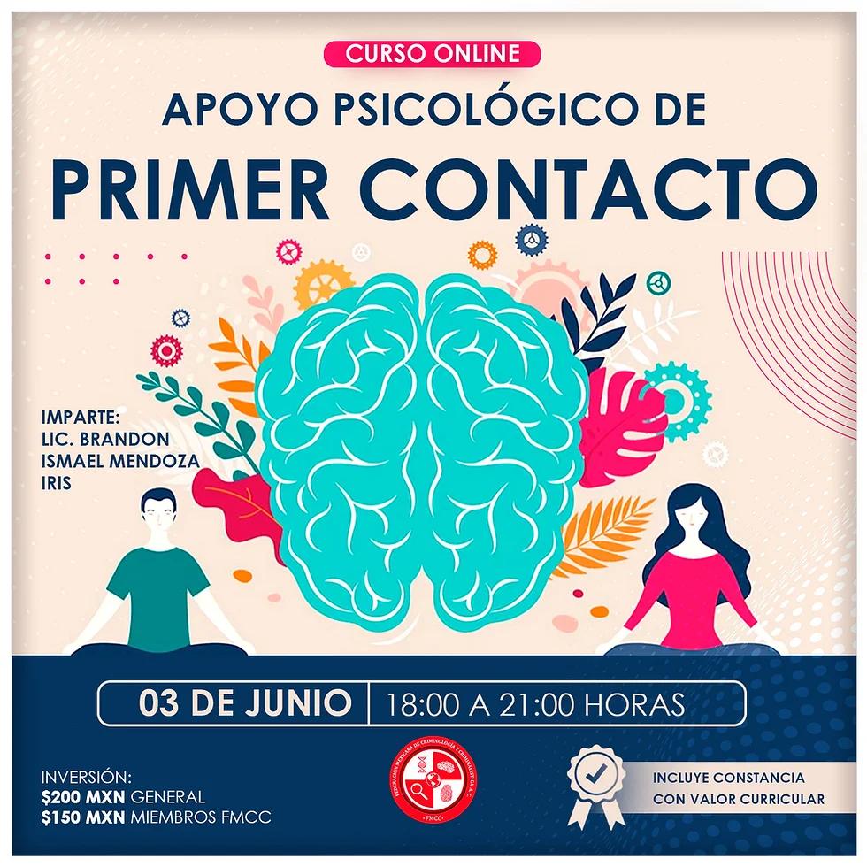 curso de apoyo psicologico - Cómo se hace un apoyo psicológico