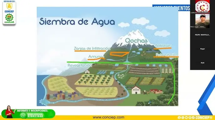 Curso Siembra: Guía Completa para Principiantes - Cómo se llama el trabajo de siembra curso siembra - Cómo se llama el trabajo de siembra