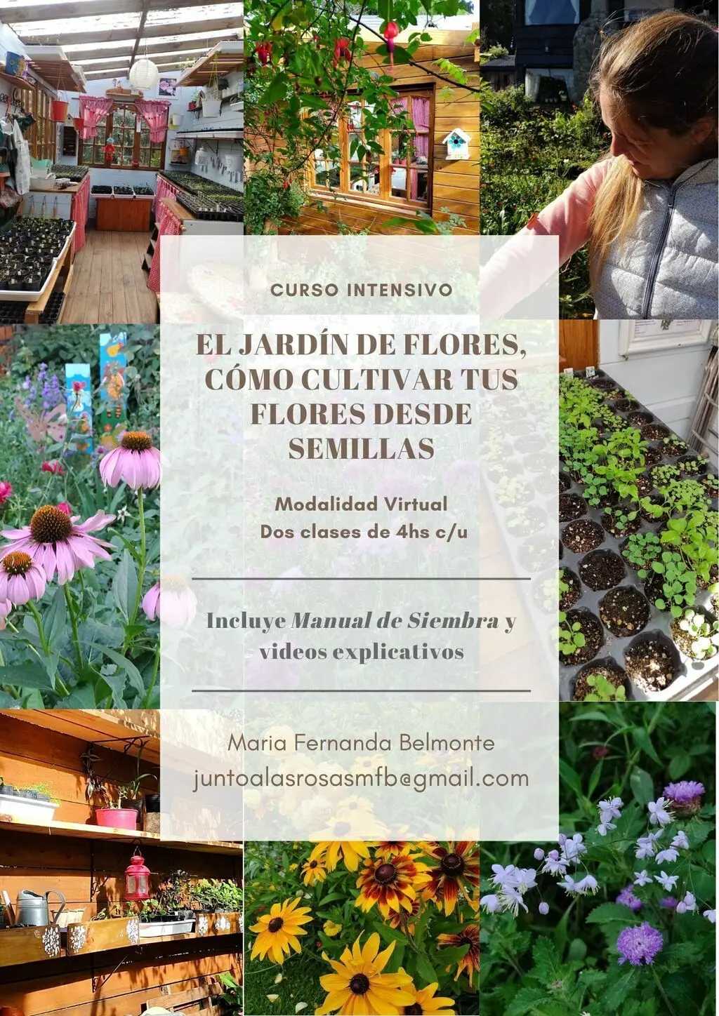 cursos de plantas y flores - Cómo se llama estudiar las plantas y flores