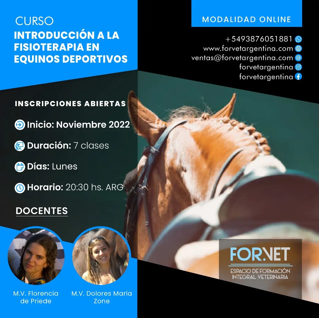 curso de equinos - Cómo se llama la carrera para entrenar caballos