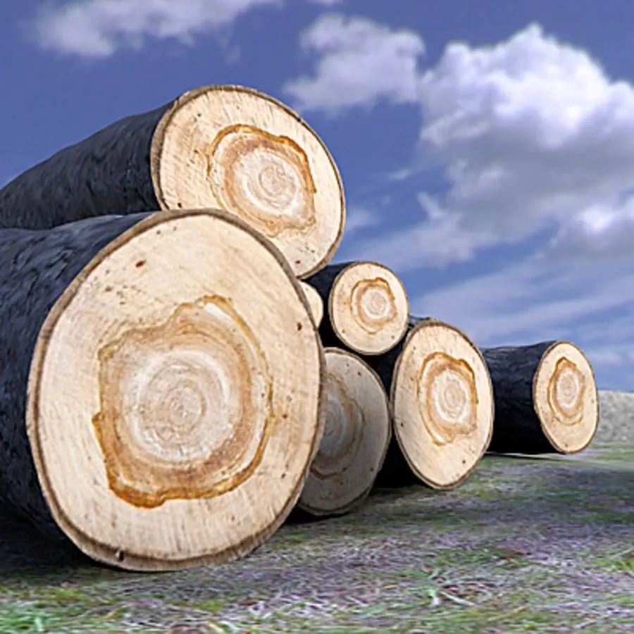 cursos industria maderera - Cómo se llama la industria que trabaja con madera