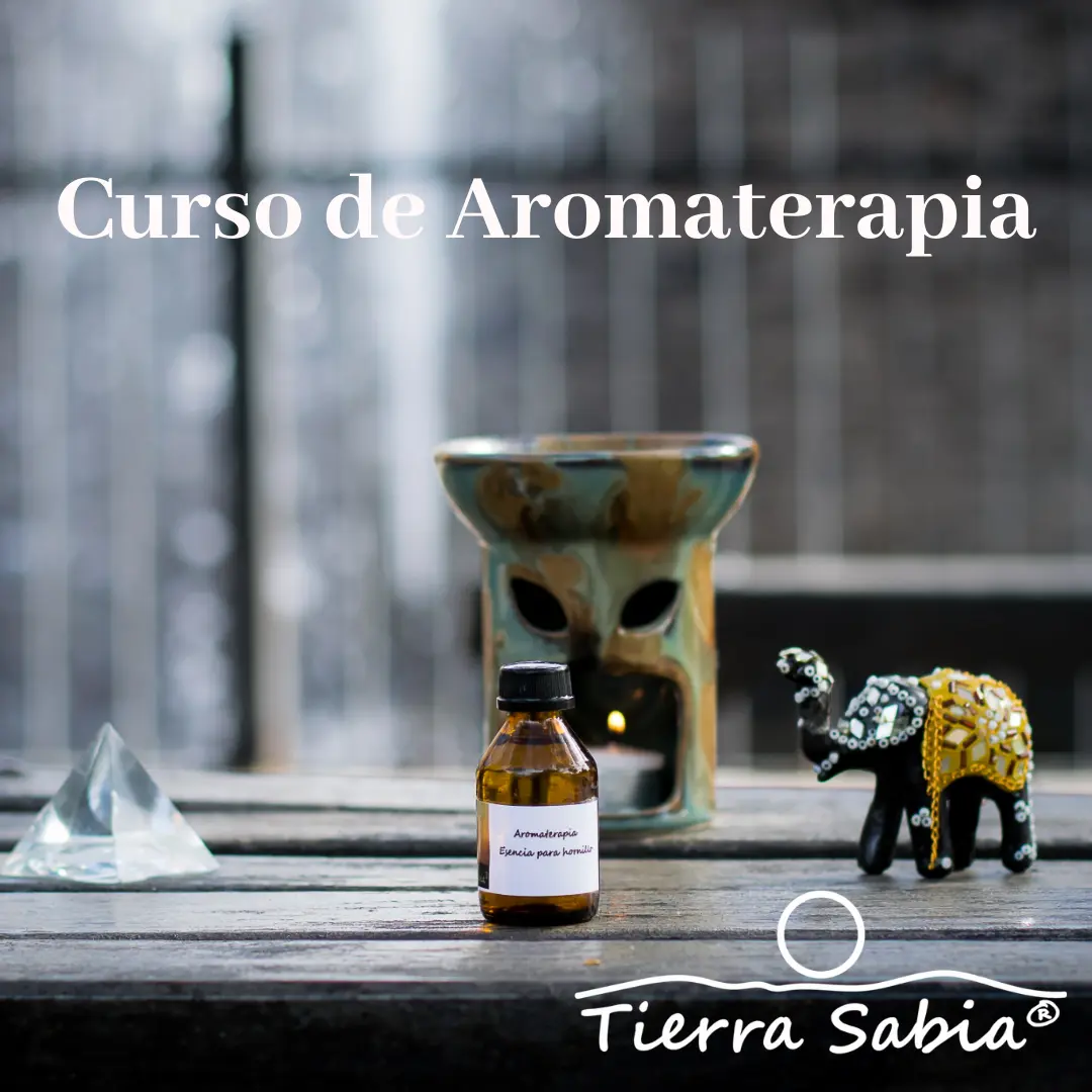 cursos de aromaterapia en argentina - Cómo se obtiene la aromaterapia