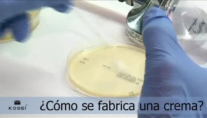 Curso Elaboración de Cremas: Guía Completa para Principiantes - Cómo se produce la crema curso elaboracion de cremas - Cómo se produce la crema