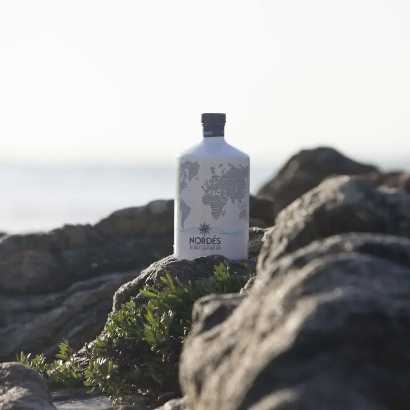 Curso de Elaboración de Gin: Una Guía Completa - Cómo se realiza la ginebra curso de elaboración de gin - Cómo se realiza la ginebra