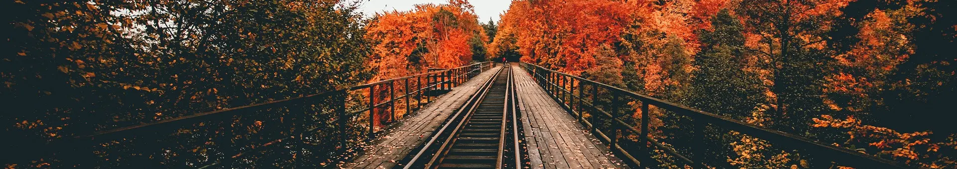 curso de polaco - Cómo se saluda en polaco