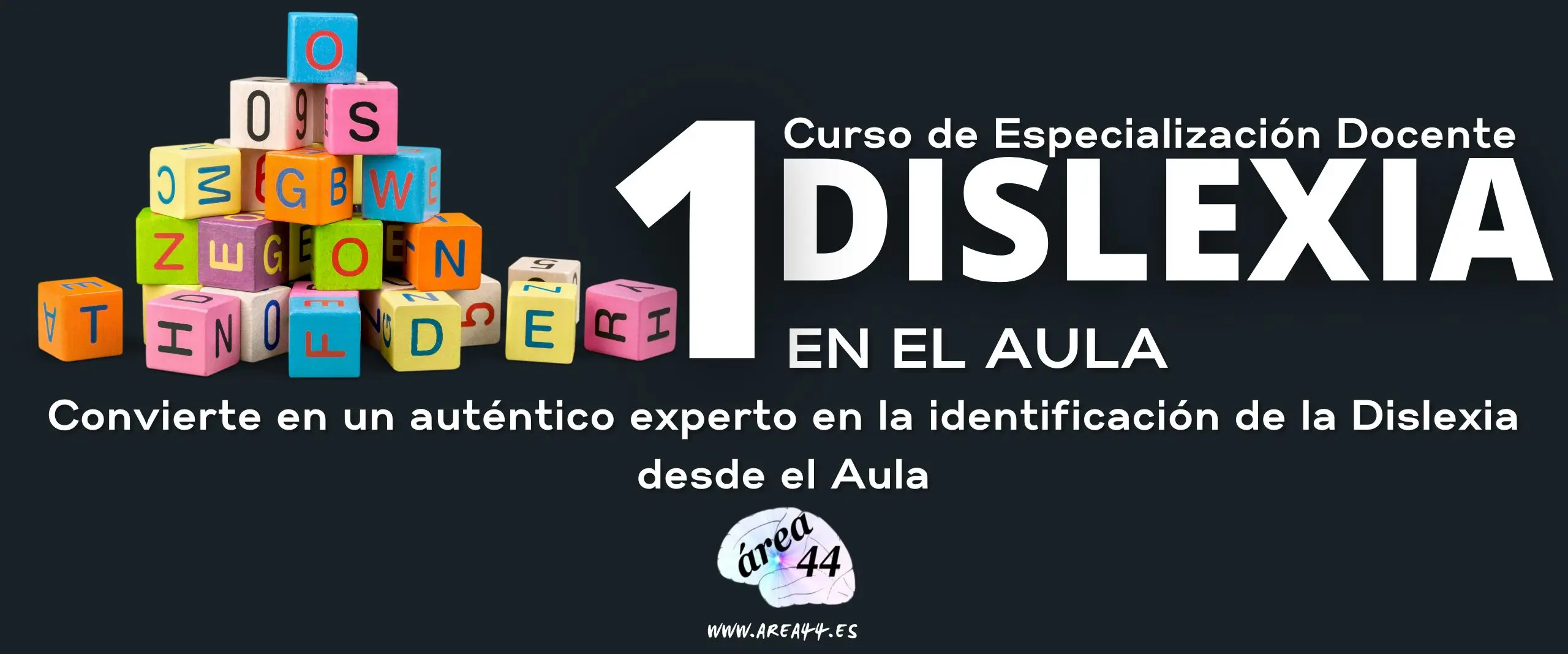 curso de dislexia para docentes - Cómo tratar la dislexia como docente