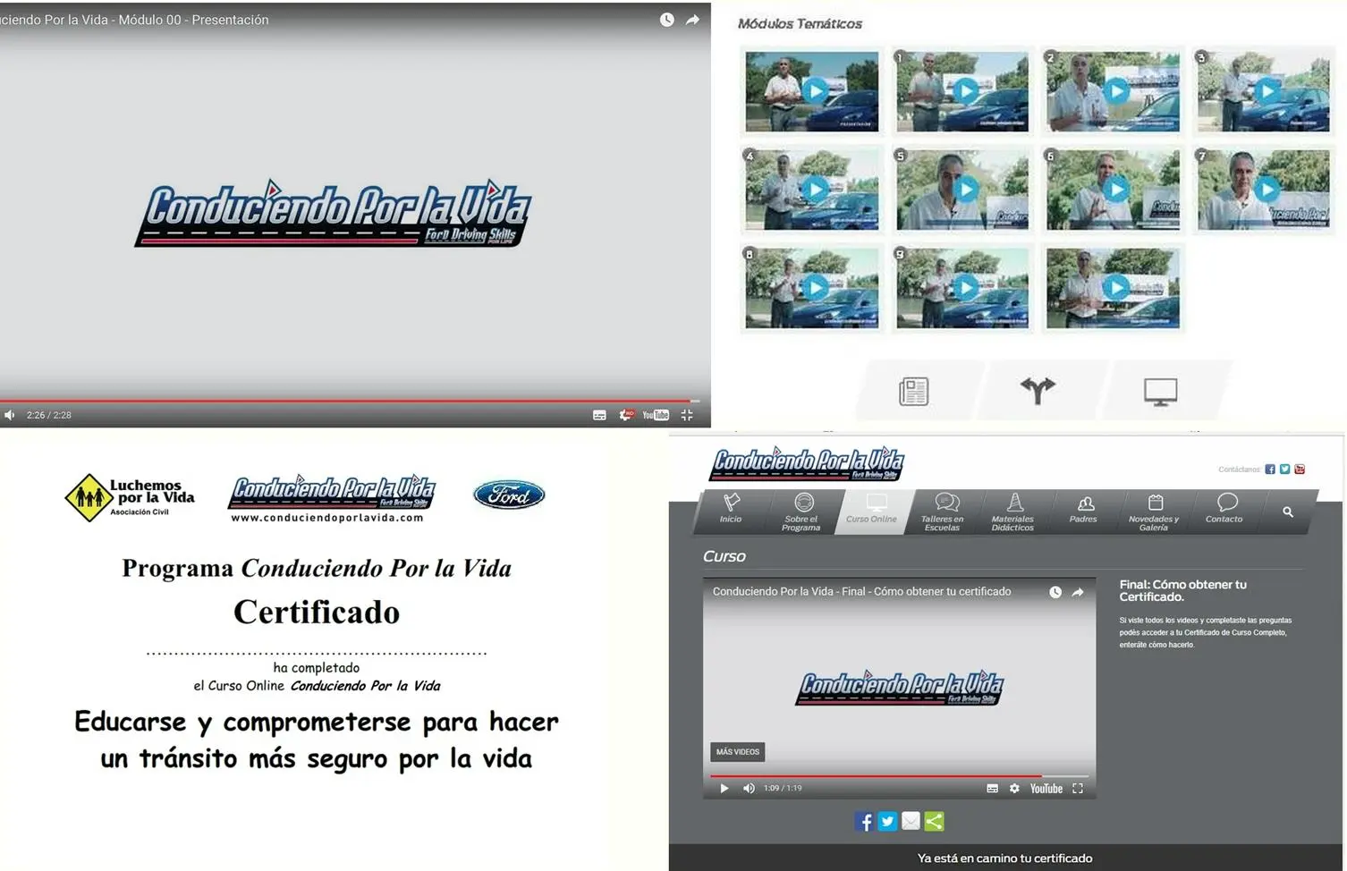 luchemos por la vida curso online - Cuál es la función de Luchemos por la vida