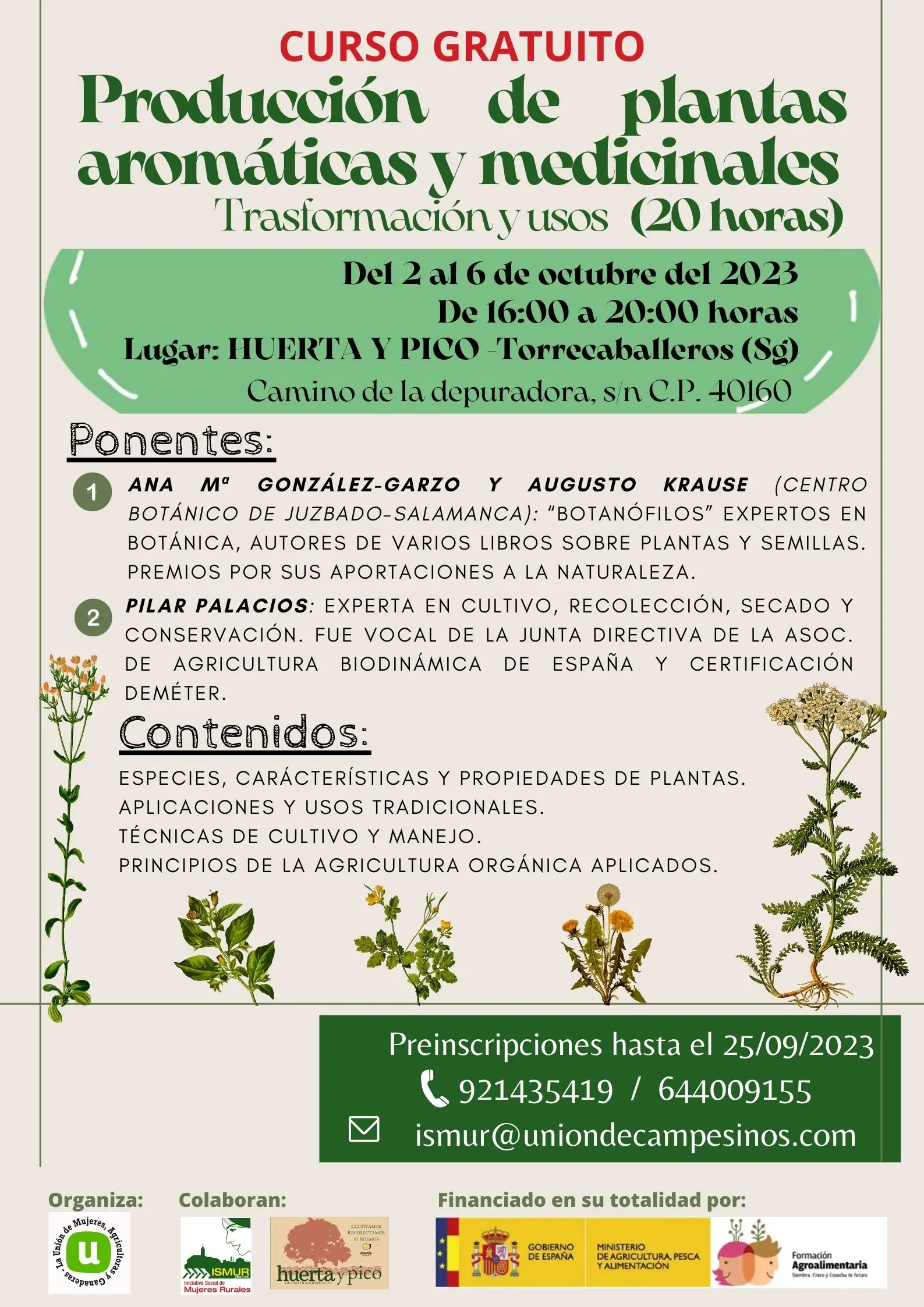 curso de aromaticas - Cuál es la planta más aromática