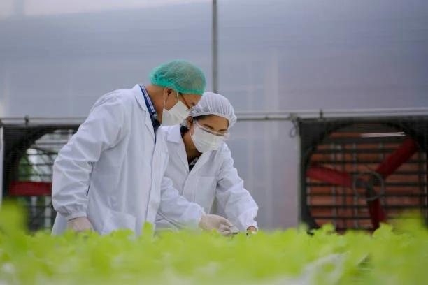 el curso de manipulacion de alimentos se vence - Cuál es la vigencia del curso de manipulación de alimentos