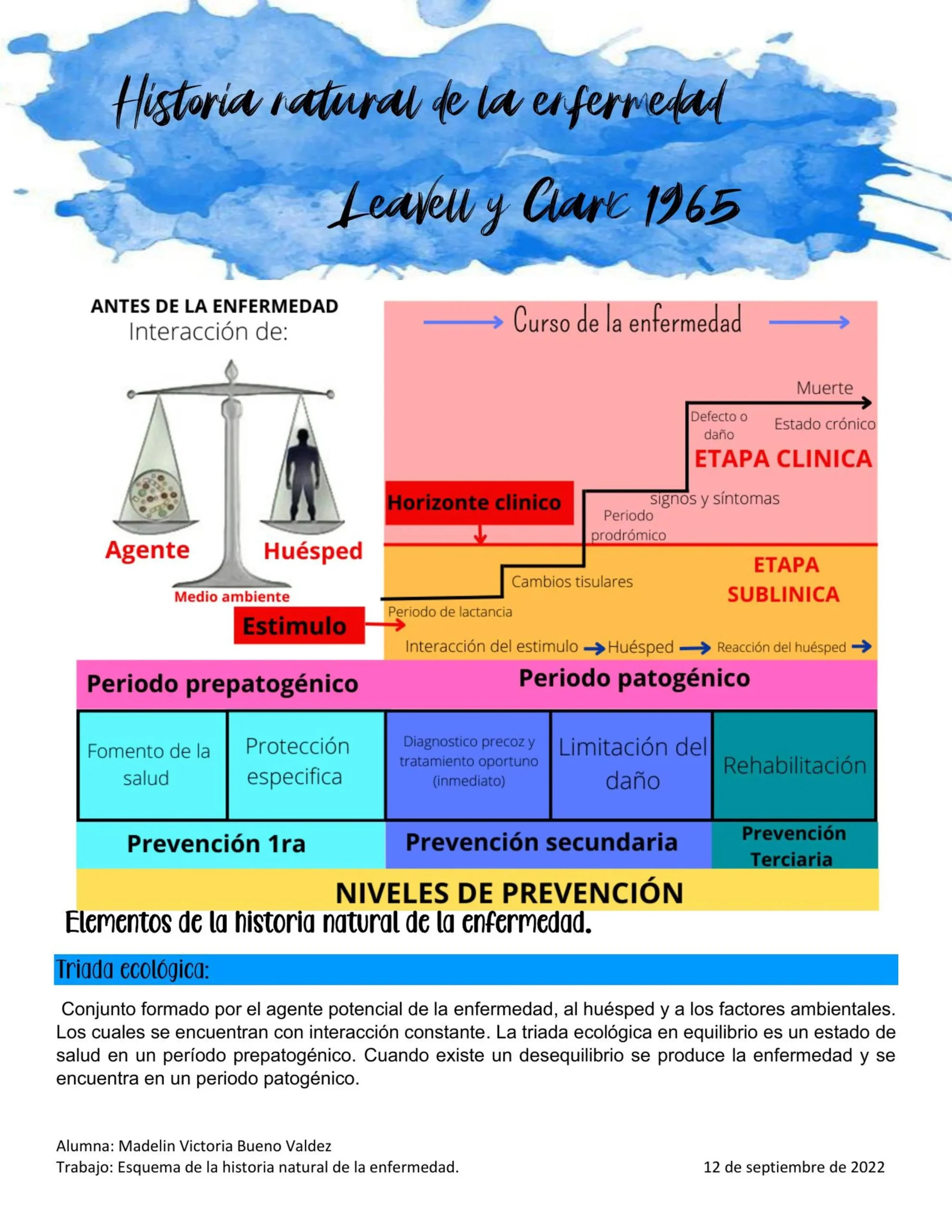 curso natural de la enfermedad - Cuáles son las 4 etapas de la enfermedad