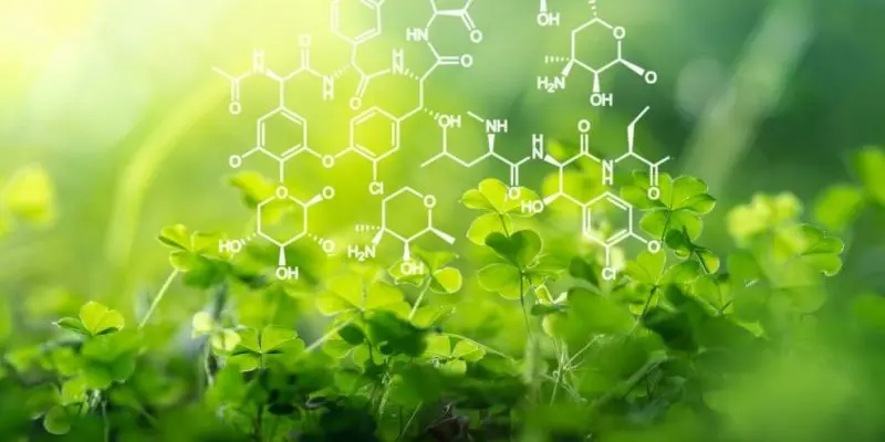 curso de quimica general - Cuáles son las 4 ramas de la química