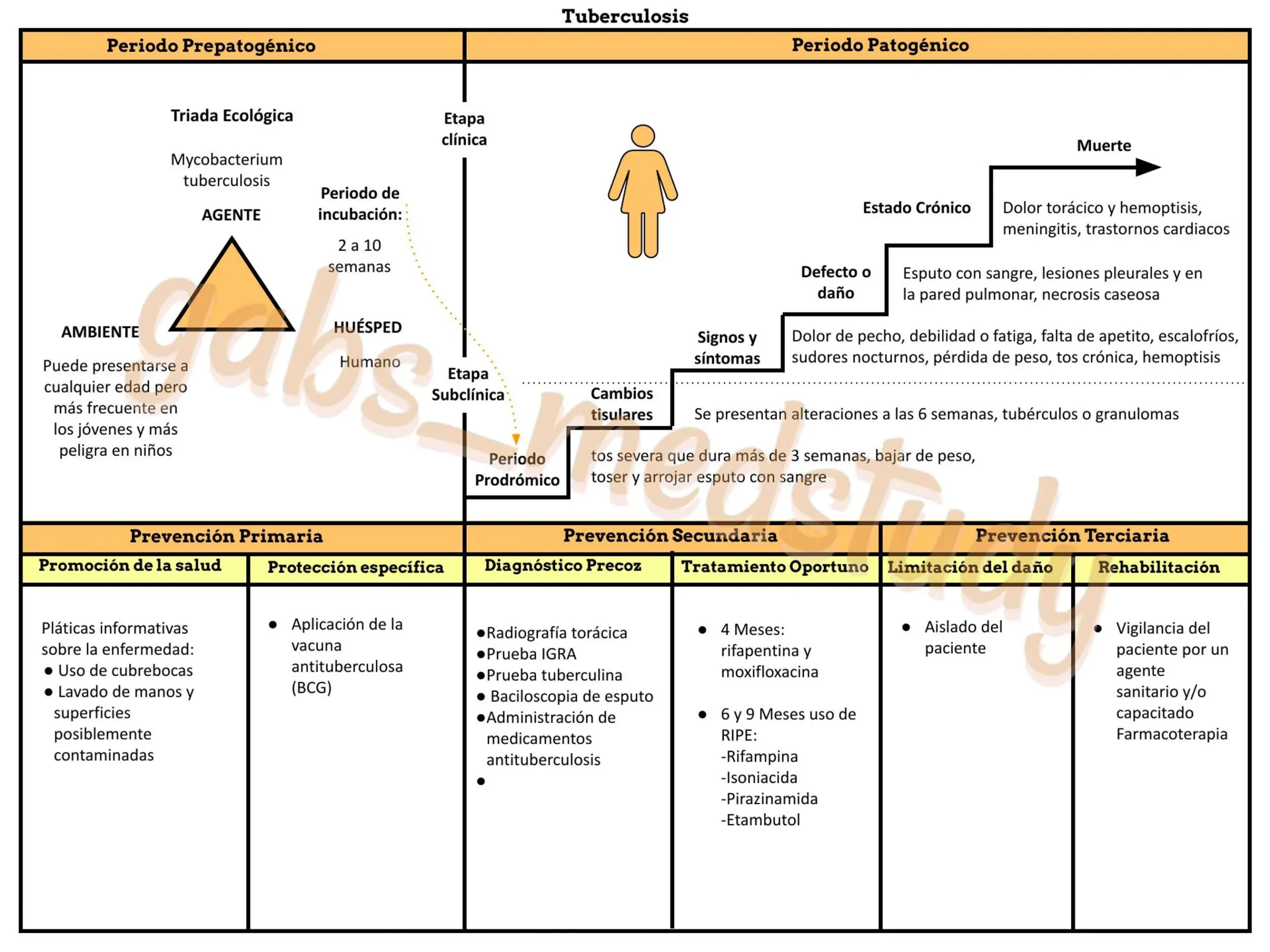 curso natural de la enfermedad - Cuáles son las etapas de la historia natural de la enfermedad