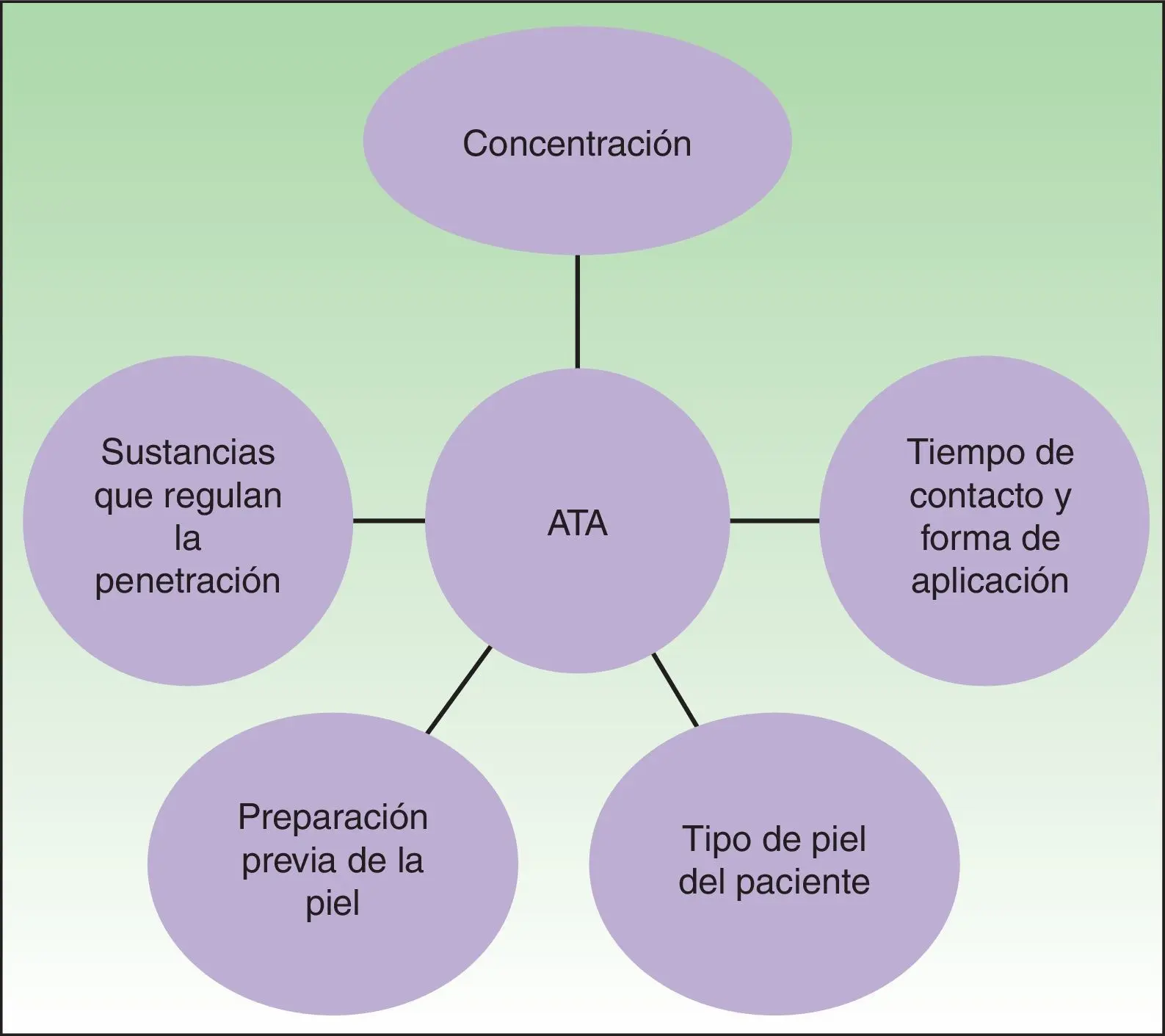 curso de peeling facial - Cuáles son los 3 tipos de peeling