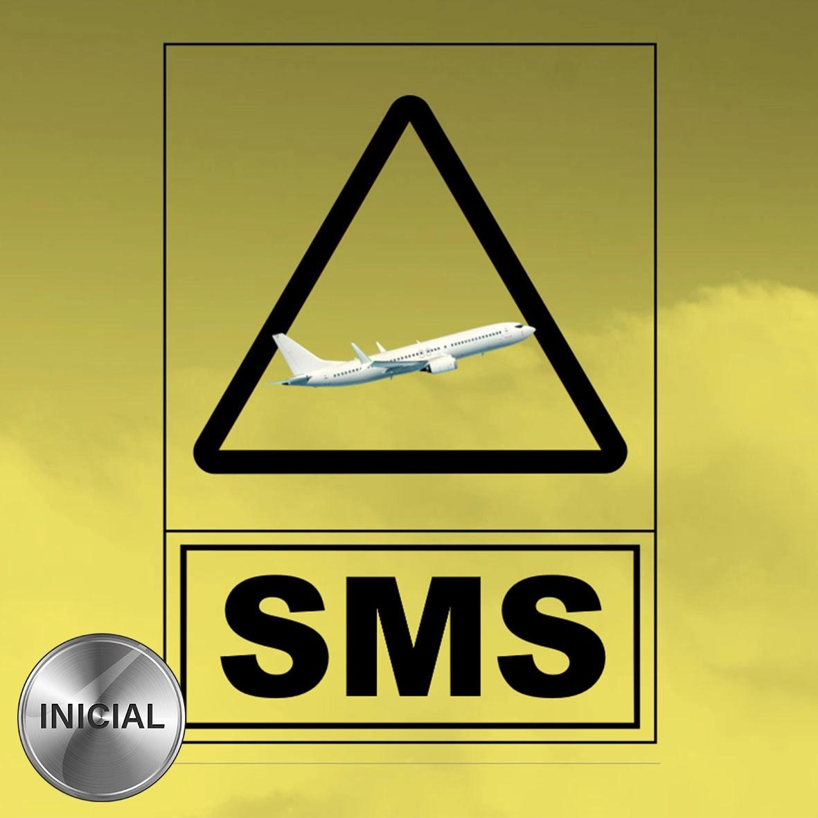 curso sms - Cuáles son los 4 componentes del SMS