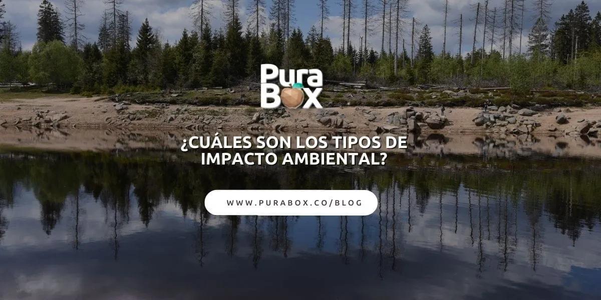 curso de impacto ambiental - Cuáles son los 4 grupos de impacto ambiental