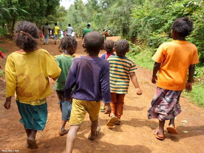 curso de etica y valores para el trabajo - Cuáles son los 4 principios de la ética profesional