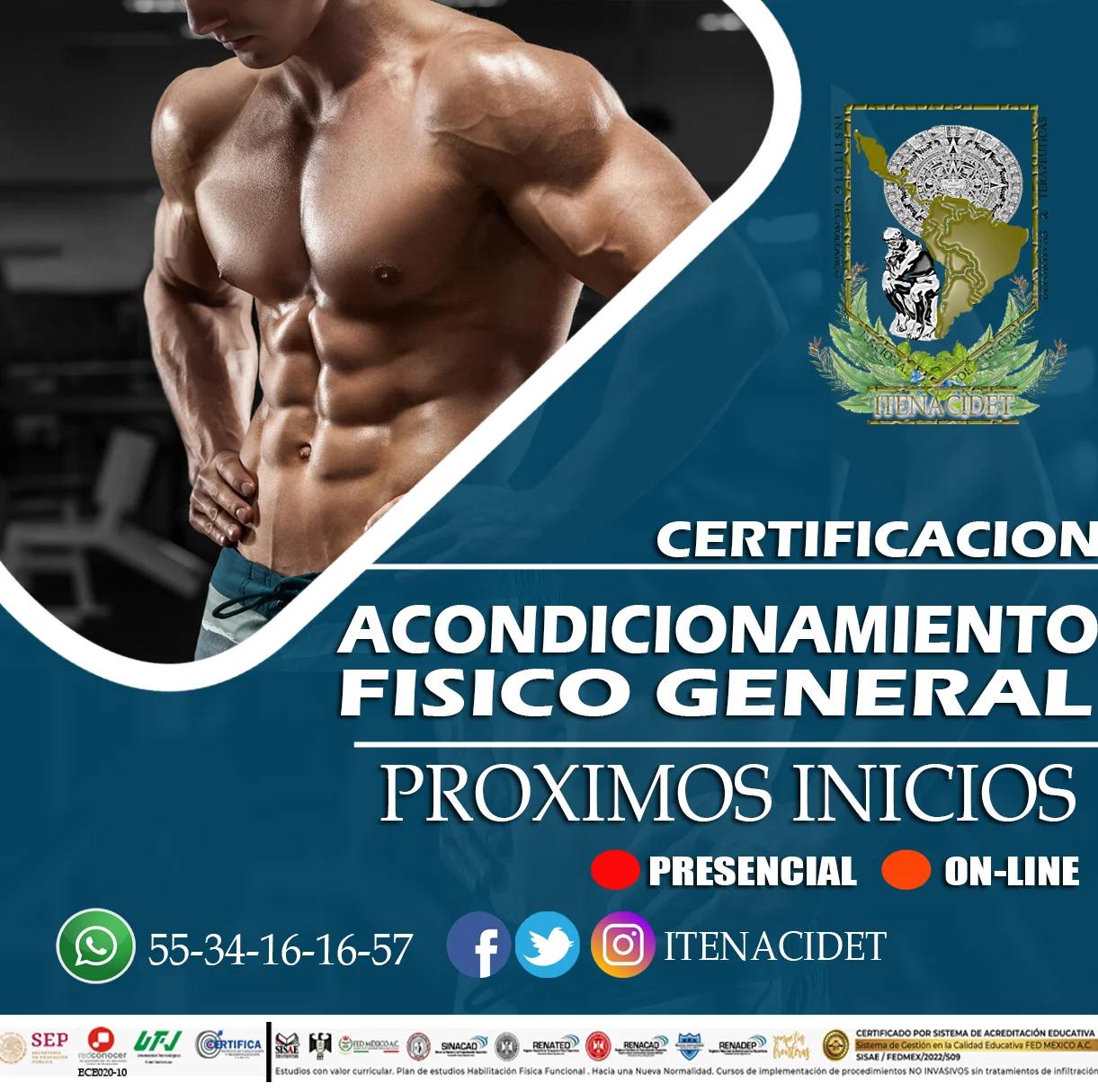 curso acondicionamiento fisico - Cuáles son los 4 tipos de acondicionamiento físico