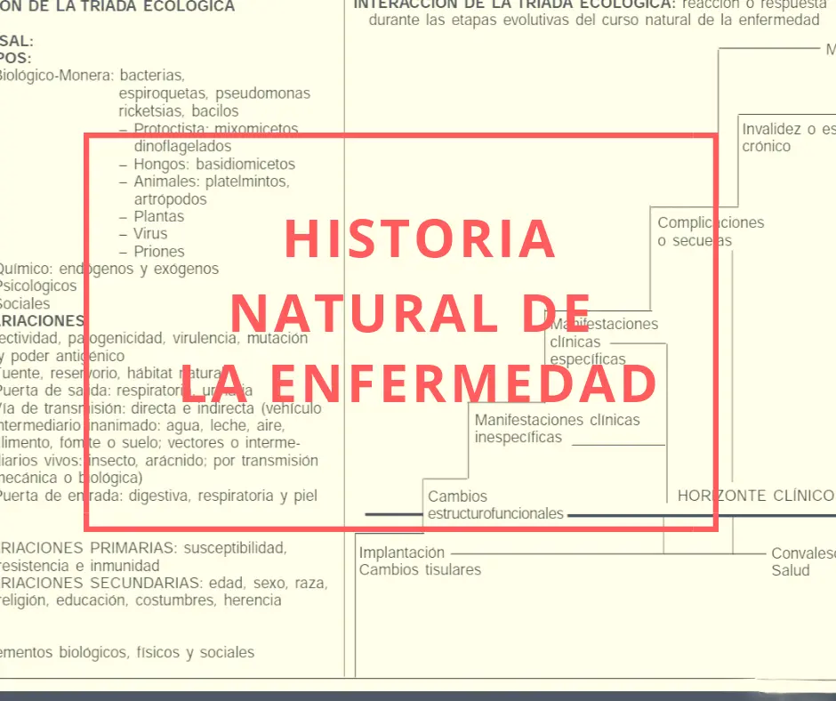 curso natural de la enfermedad - Cuáles son los periodos naturales de la enfermedad
