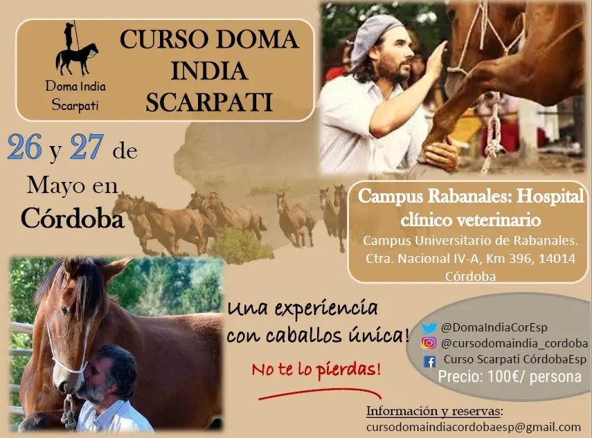 doma india scarpati cursos - Cuántas clases de doma hay