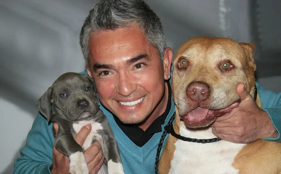 cesar millan cursos - Cuánto cobra César Millán por entrenar un perro