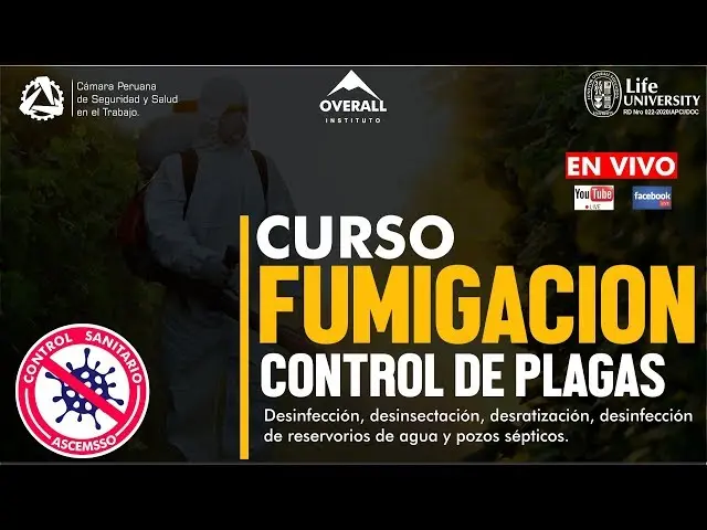 cursos de desratizacion - Cuánto cobra un exterminador de plagas