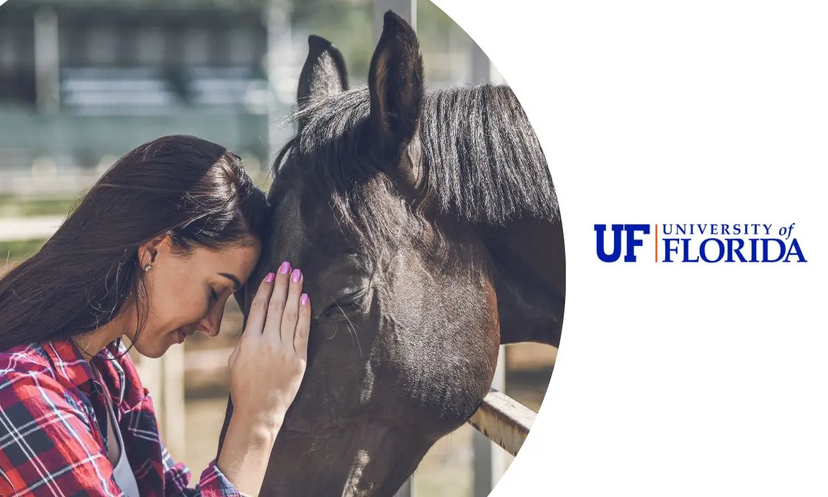 Cursos de Veterinaria Equina Gratis: Guía Completa - Cuánto cobra una veterinaria equina cursos de veterinaria equina gratis - Cuánto cobra una veterinaria equina