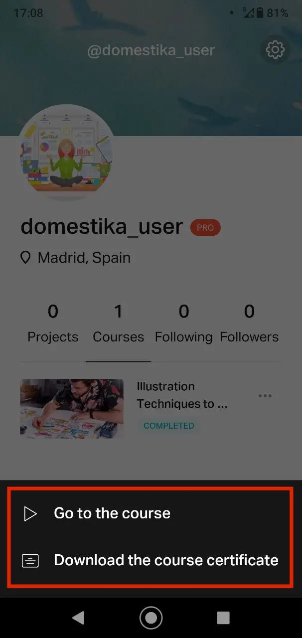 domestika cursos download - Cuanto cuesta domestika