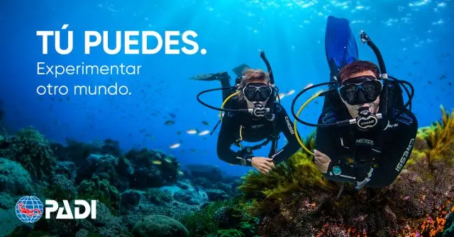 curso de buceo padi open water - Cuánto cuesta el curso de instructor PADI