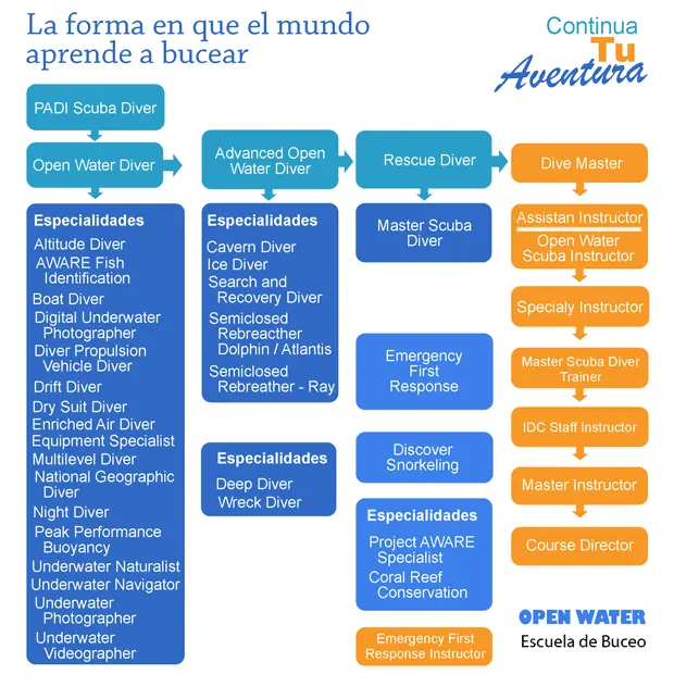 curso buceo padi - Cuánto cuesta el curso PADI