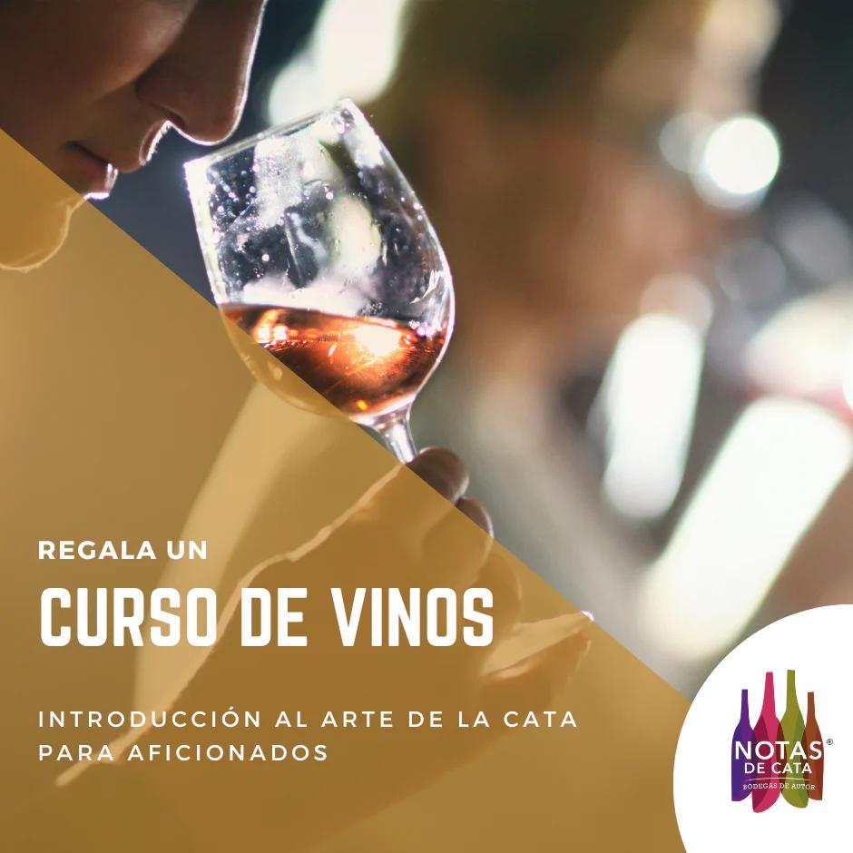 curso de cata de vinos santiago - Cuánto cuesta la carrera de sommelier en Chile