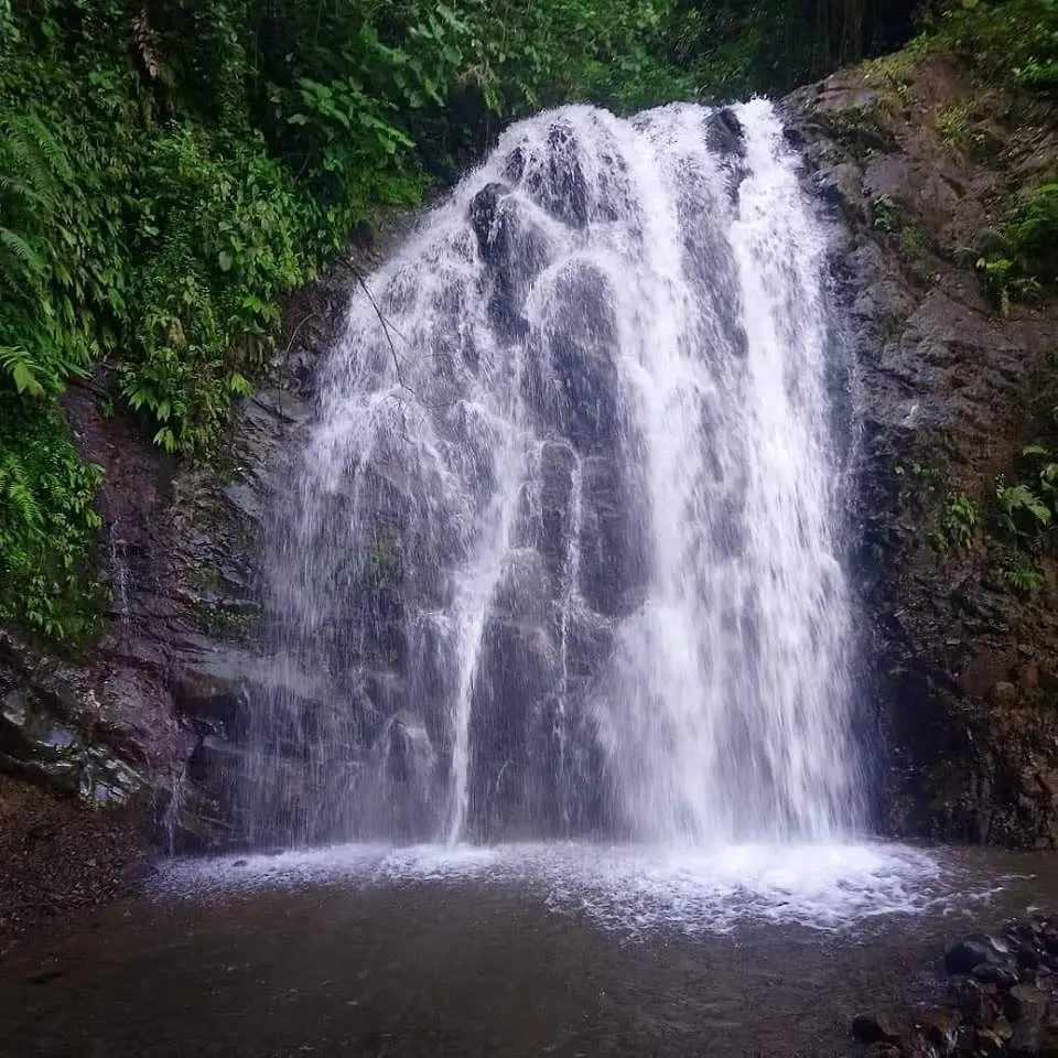curso del danubio - Cuánto cuesta la entrada al Danubio