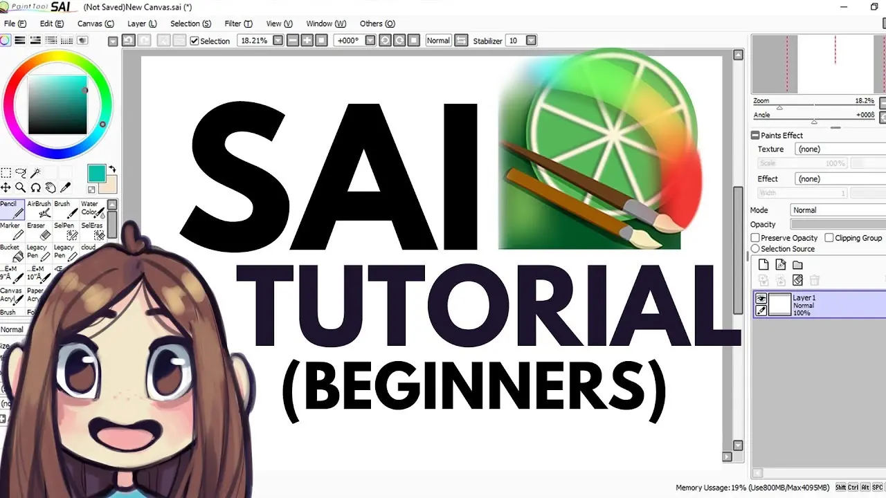 paint tool sai curso - Cuánto cuesta la licencia de Paint Tool Sai
