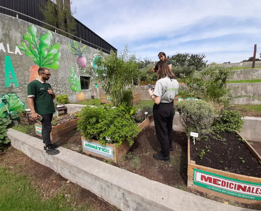 cursos de hidroponia en buenos aires - Cuánto cuesta poner una hidroponía