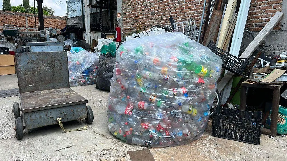 cursos de reciclaje de pet - Cuánto cuesta reciclar el PET