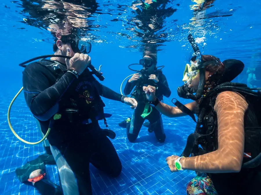 curso instructor de buceo precio - Cuanto cuesta un curso de Instructor de Buceo