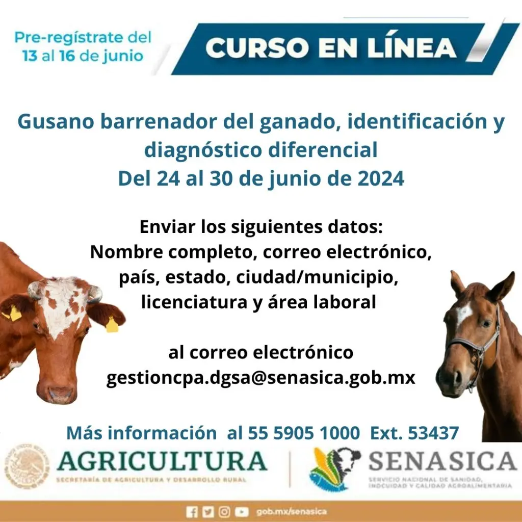 cursos en linea uaaan - Cuánto cuesta un semestre en la UAAAN