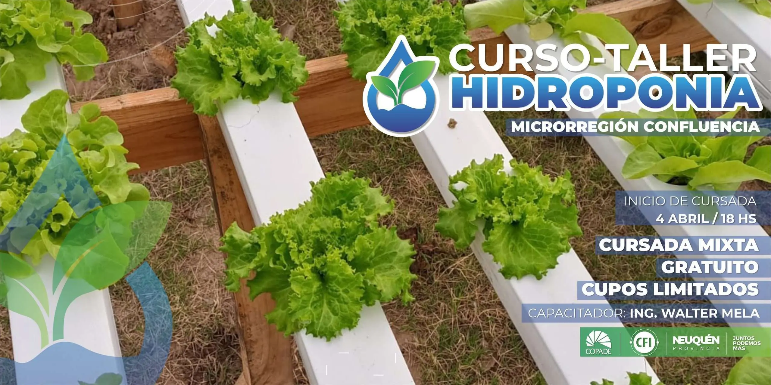 curso de hidroponia en argentina - Cuánto cuesta un sistema de hidroponía