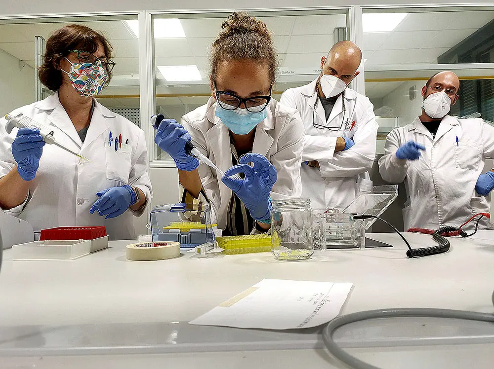 curso cultivos celulares - Cuánto dura el curso de cultivos celulares